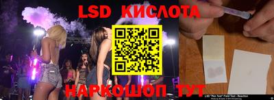 a pvp Свободный