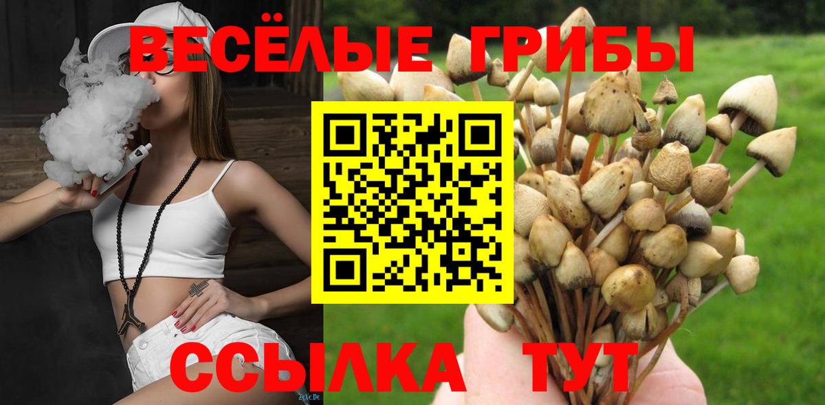 Псилоцибиновые грибы мухоморы  Псилоцибиновые грибы прущие грибы  Вход с VPN  Сальск 